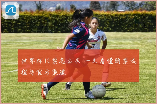 世界杯门票怎么买 一文看懂购票流程与官方渠道