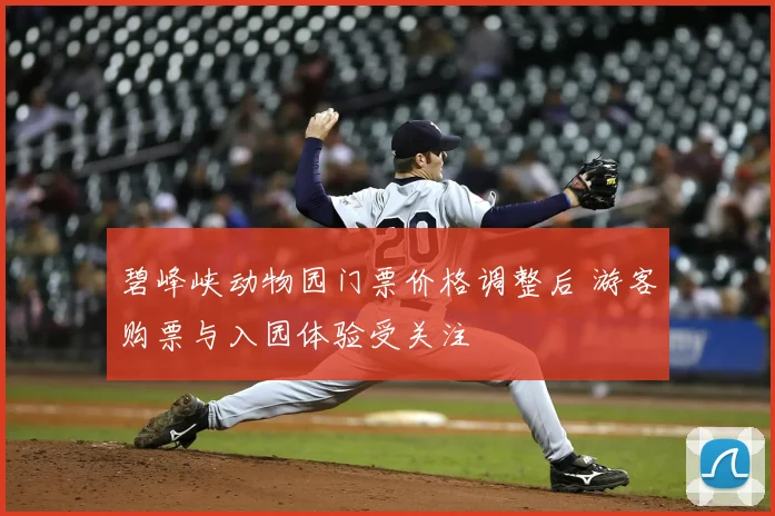 碧峰峡动物园门票价格调整后 游客购票与入园体验受关注