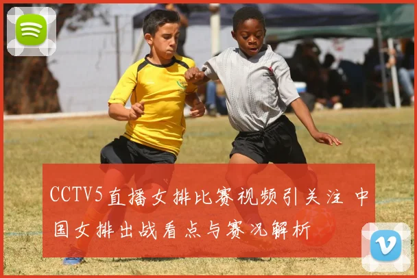 CCTV5直播女排比赛视频引关注 中国女排出战看点与赛况解析